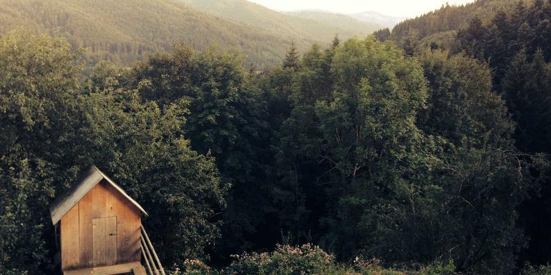 为什么大家都在讨论成本控制